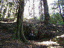 Anita plays at hobbit