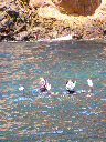 Snorkeling in Poor Knights